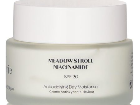 Antioxidising Day Moisturiser Spf 20 - 45ml 1.52oz Discount